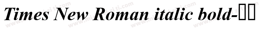 Times New Roman italic bold字体转换